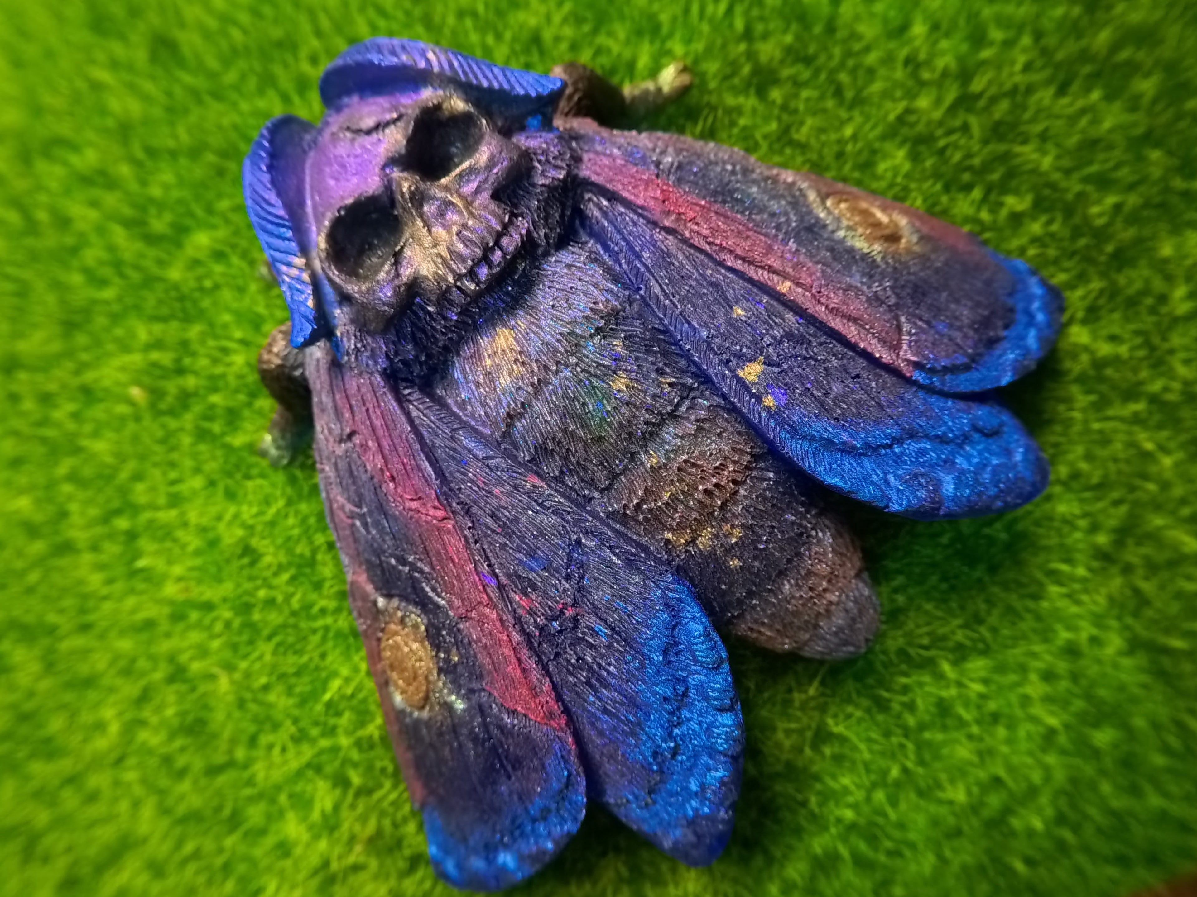 Moth Pet